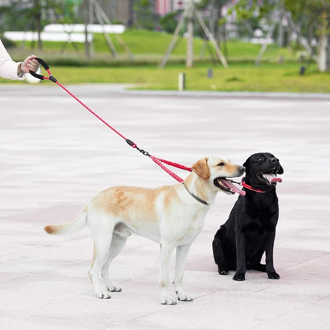 iYoShop Double Dog Leash, 360° Swivel, No Tangle, Large, 25-150 lbs, Red | Dual Leash for Two Dogs, Split Leash, Shock-Absorbing Bungee, Padded Handle, Heavy-Duty Rope