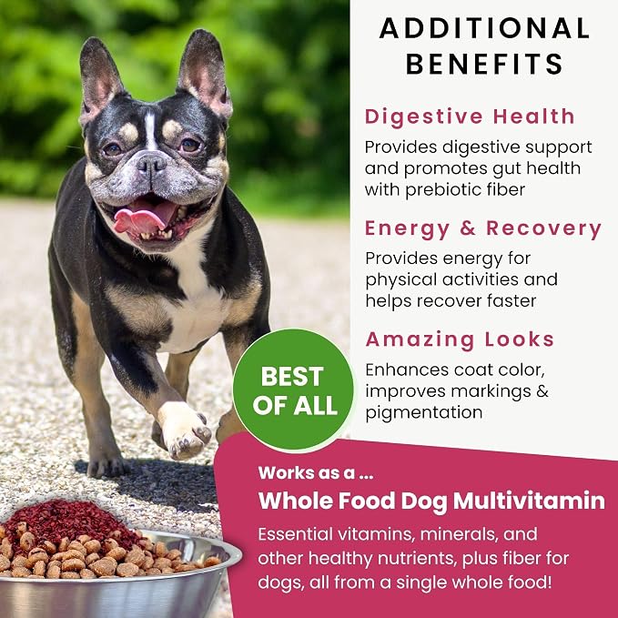 Olewo Original Red Beets for Dogs – Internal Support Dog Food Topper for Skin Sensitivity and Overall Balance, Prebiotic Fiber and Whole Food Nutrients, 2.2 lbs