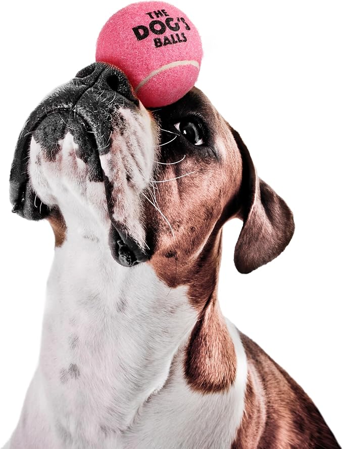 The Dog's Balls Dog Tennis Balls Tough 2.5" 12-Pack Pink Floats in Water | Our fetch balls combine non-abrasive felt exterior and a thicker rubber core Durable Dog Toy for Outdoor Play & Training