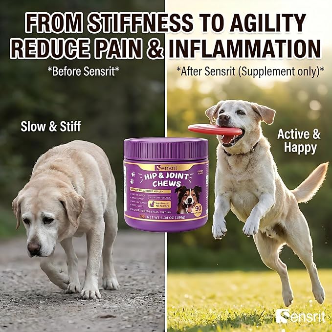 Hip and Joint Chews for Dogs - All-in-One Mobility Support with Glucosamine, MSM, Chondroitin & Green Lipped Mussel - 90CT Chicken Flavor - Helps with Dog Stiffness, Limping & Recovery.