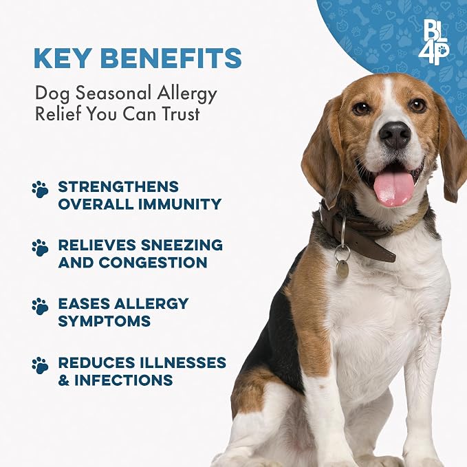 Walk-Easy Cat & Dog Joint Pain Relief, Effective Cat Pain Reliever, Anti Inflammatory & Natural Dog Hip and Joint Supplement, and Dog Allergy Relief & Immune Support, Natural Holistic Itch Relief