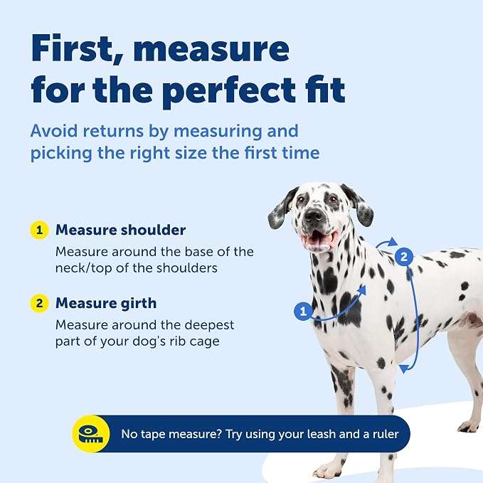 PetSafe 3 in 1 Dog Harness - No Pull Solution for Dogs - Reflective Dog Harness - Front D-Ring Clip Helps Stop Pulling - Comfortable Padded Straps - Top Handle Enhances Control - Plum - Small