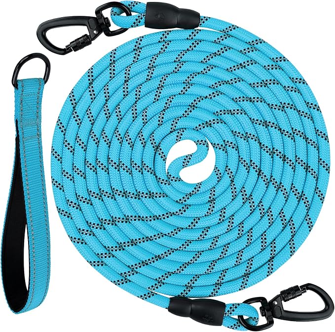 Joytale Long Dog Leash for Yard Tie Out & Recall Training, Blue, 50FT | Secure Locking Carabiner, Removable Padded Handle, Reflective Webbing for Night Safety, Ideal for Outdoor Play and Camping