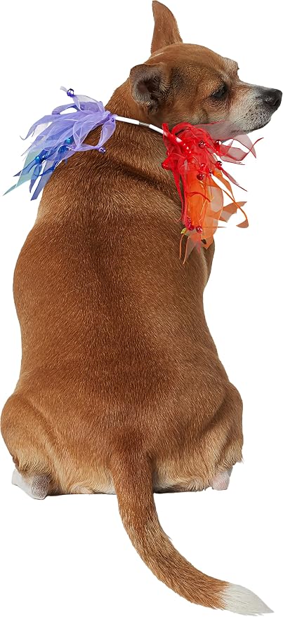 Rubies Decorative Rainbow Pet Collar for Dogs or Cats, L/XL