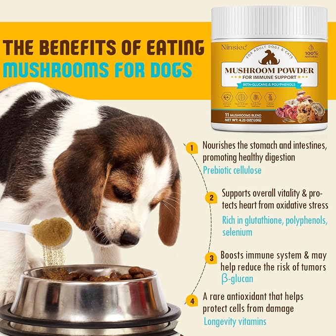 Mushroom Supplement Powder for Dogs & Cats, Turkey Tail Mushroom for Pets, Lipoma for Cats, 11 Organic Mushroom Complex, Partner Guard for Dogs Lumps and Bumps