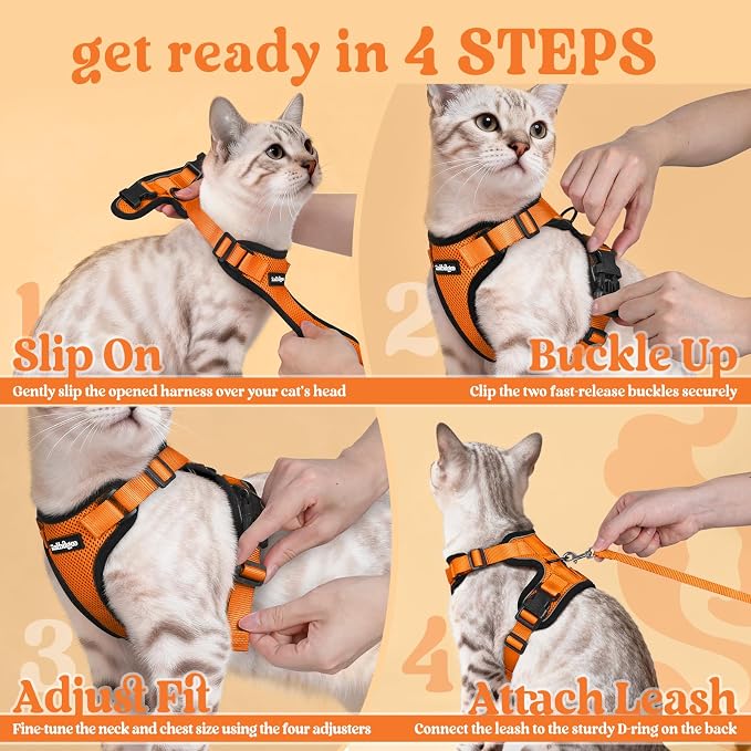 rabbitgoo Cat Harness and Leash Set, Escape Proof Vest, Orange | Soft Breathable Mesh, Easy Adjustable Fit, Snap Buckles, Sturdy Clip, Reflective Strips, for Small & Average Cats Walks, Xs