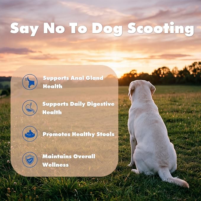 Anal Gland Support Soft Chews for Dogs, Natural Fiber Supplement with Pumpkin, Psyllium Husk, Probiotics & Enzymes, Reduces Scooting, Supports Gut, Digestive & Bowel Health, 120 Ct