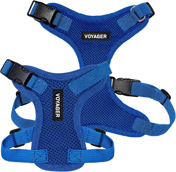 Voyager Step-in Lock Dog Harness - Royal Blue, Large | 20 - 25" in Chest, Adjustable, Breathable Air Mesh, Lightweight for Daily Walks, Strong Clips, Heavy Duty D-Ring