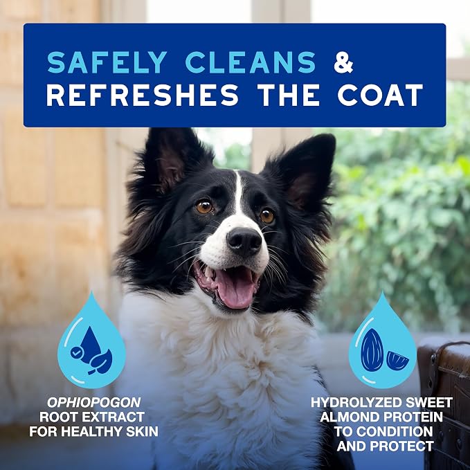 DOUXO SPA Waterless Dog Shampoo, 10 fl oz | Leave-On Mousse, Cleans and Refreshes, Leaves the Coat Soft, Radiant and Smelling Great, Ultra-Safe Formula