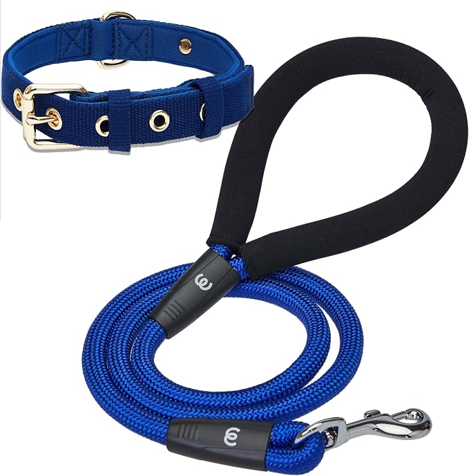 Blueberry Pet Classic Modern Iconic Matching Dog Collar and Rope Leash Set in Blue, Adjustable Neoprene Padded Collar with 4 ft Neoprene Handle Leash for Medium Dogs
