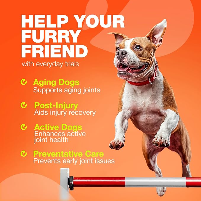 Hip & Joint Chews for Dogs – Glucosamine Joint Supplement for Mobility