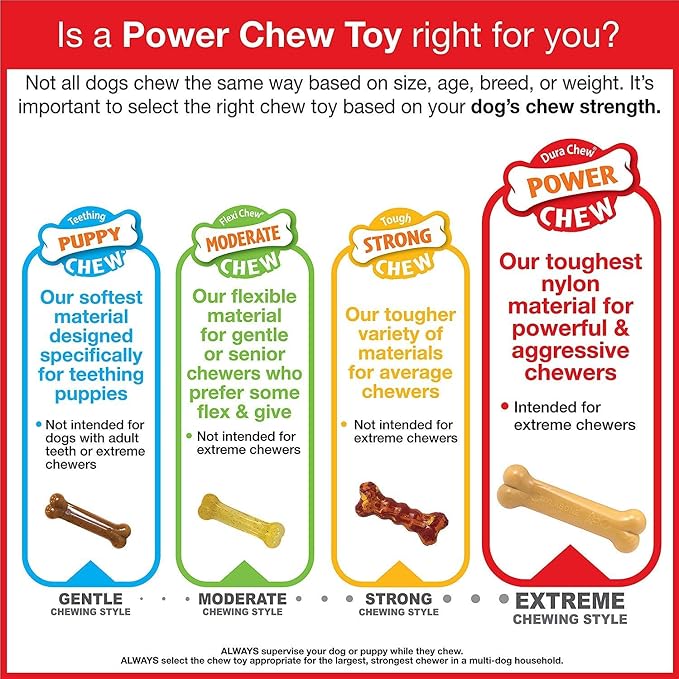 Nylabone 3 Pack of Power Chew Wishbone Chew Dog Toys, Regular, Bison Flavor