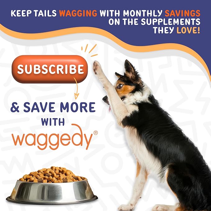 Waggedy Advanced Dog Probiotics Gut and Digestion Food Topper – Probiotic Powder with Digestive Enzymes & Papaya – Gentle Probiotics for Dogs 6+ Weeks – Supports Gut Balance, Comfort & Immune Health