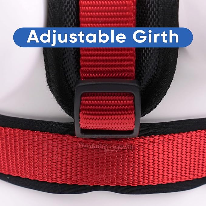 Pawtitas Reflective Padded Dog Harness for X-Small Dogs – Adjustable Puppy Step-in Vest | Fits Chest 14–18 in | No Pull Training Harness | XS | Red