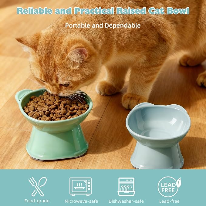 KSIA Klear Elevated Cat Bowls 2 Pack, Tilted Raised Cat Bowls for Indoor Cats, for Food and Water, 4.72" Wide, Whisker Friendly Anti Vomit for Indoor Cats, Microwave and Dishwasher Safe, Blue&Green