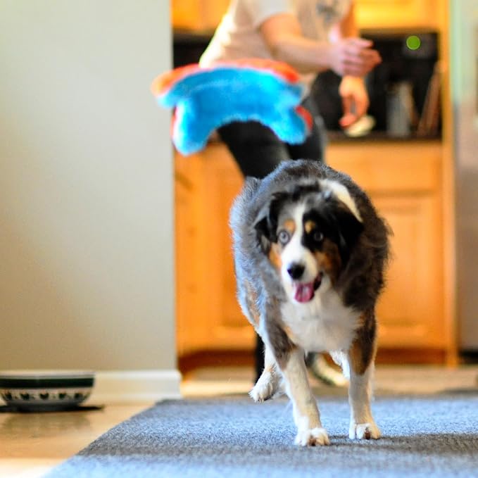 Chuckit! Indoor Fetch Squirrel Toy for Dogs, Orange and Blue | Interactive Dog Toy for Boredom and Indoor Fetch Play with Squirrel Toy Design in Orange and Blue for Dogs