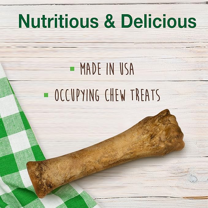 Nylabone Healthy Edibles Natural Dog Chews, Long Lasting Bones for Dogs, Bacon Flavor Dog Treats, X-Large (2 Count)