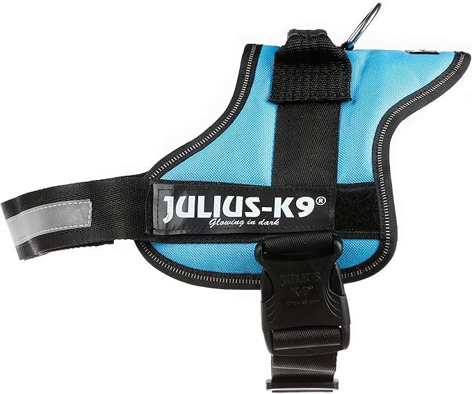 Julius-K9, 162 W, K9-Power Dishes, Aquamarine, 0, Green-Blue
