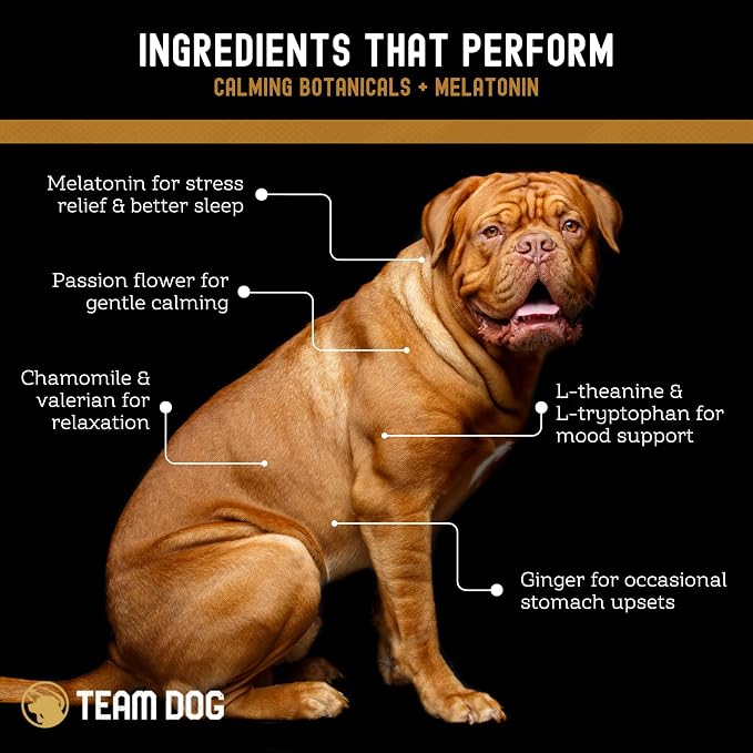 TEAM DOG Calming Chews, Melatonin, Chamomile, Large