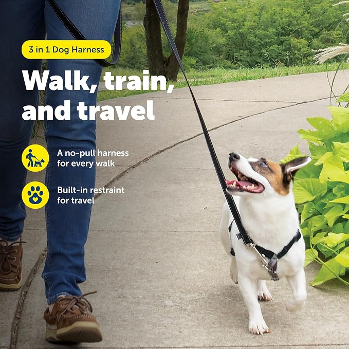 PetSafe 3 in 1 No-Pull Dog Harness - Walk, Train or Travel - Helps Prevent Pets from Pulling on Walks - Seatbelt Loop Doubles as Quick Access Handle - Reflective Accents - Small, Black | Rests on Chest Not Throat to Reduce Pulling, 5 Adjustment Points,...