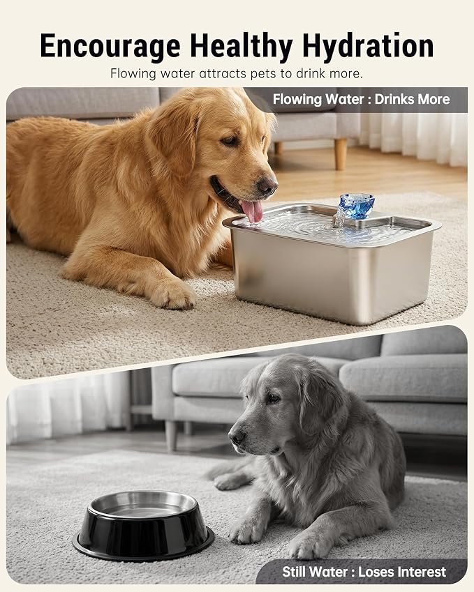PETNF 3-Gallon 304 Stainless Steel Dog Water Fountain for Large Dogs, Extra Wide Drinking Area, Automatic Water Bowl Dispenser for Large Dogs & Multi-Pet Homes, 7-Stage Filtration System, Quiet Pump