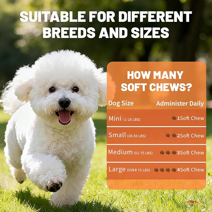 Dog Allergy Chews | Daily Support for Itchy Skin, Immune Health & Seasonal Allergies from Probiotics Omega 3 Quercetin Colostrum,Paw Licking, Pet Itchy Ear Relief Supplement - 100ct