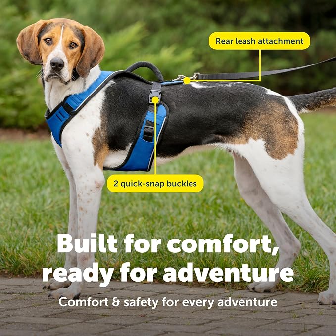 PetSafe EasySport Dog Harness, Blue, Large | Padded, Elastic Neckline Harness for Active Dogs, Reflective Piping for Visibility, Top Control Handle, Rear Leash Clip