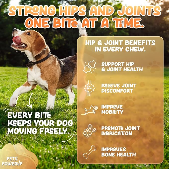 Hip & Joint Mobility Dog Vitamins and Supplements (120 Ct) Dog Bites Soft Chews Treats with Glucosamine Chondroitin MSM Turmeric Omega 6 Dog Joint Supplement for Small Medium Large Dogs