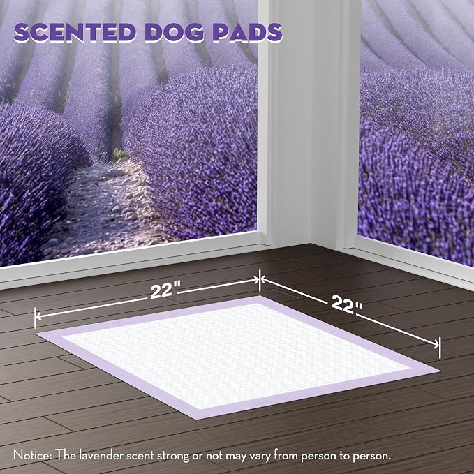 CROCI 22x22in Puppy Pads 100 Count with Adhesive Tabs, Dog Pads Absorbs Up to 3 Cups Potty Training, Disposable