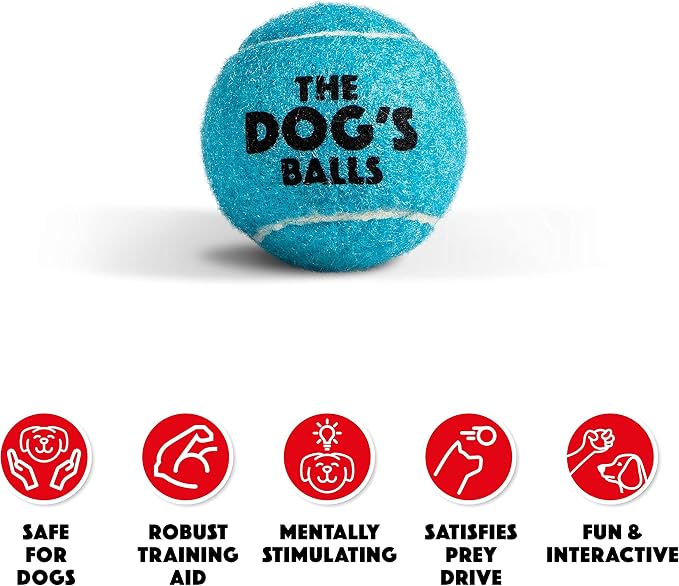 The Little Dog’s Balls Small Dog Tennis Balls 6-Pack Blue Floats in Water | Our fetch balls combine non-abrasive felt exterior and a thicker rubber core Durable Dog Toy for Outdoor Play & Training