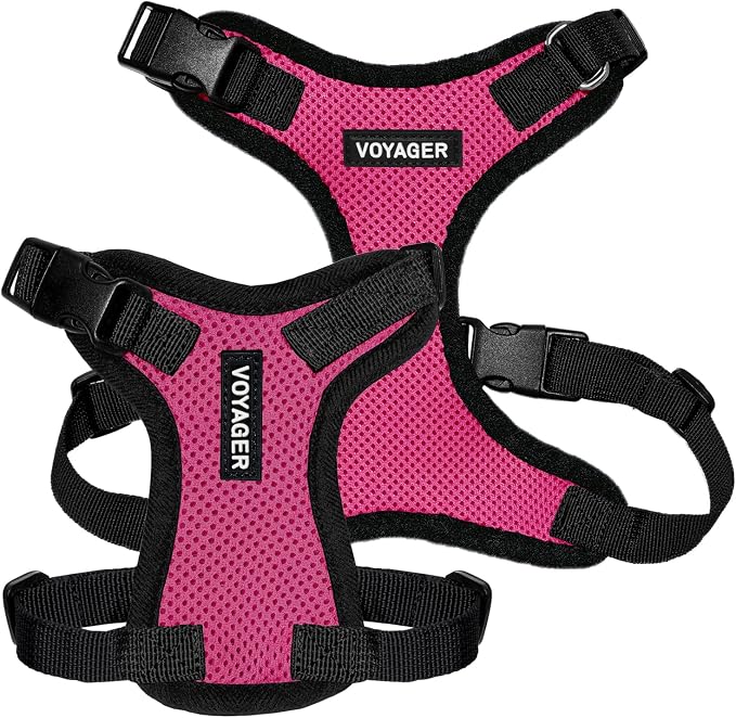 Voyager Step-in Lock Dog Harness - Fuchsia/Black Trim, X-Large | 23 - 28" in Chest, Adjustable, Breathable Air Mesh, Lightweight for Daily Walks, Strong Clips, Heavy Duty D-Ring