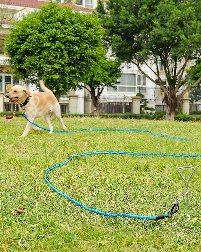 Joytale Long Dog Leash for Yard Tie Out & Recall Training, Blue, 65FT | Secure Locking Carabiner, Removable Padded Handle, Reflective Webbing for Night Safety, Ideal for Outdoor Play and Camping
