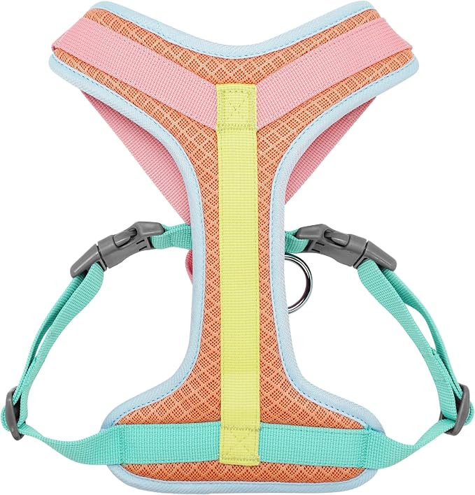 Blueberry Pet Vibrant Mesh Padded Ultra Cool Lightweight Dog Harness Vest in Coral, Medium, Neck 17¾", Chest 20"~24¾"
