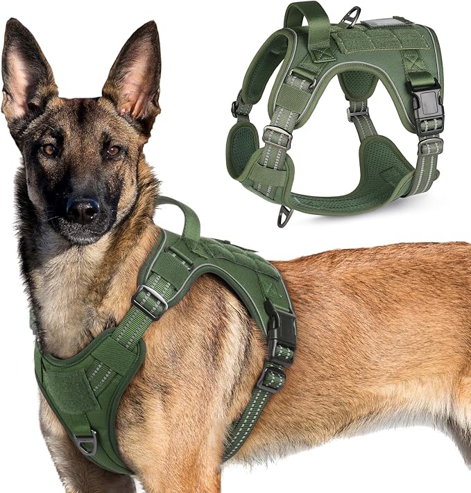 rabbitgoo Tactical Dog Harness for X-Large, No Pull Military Service Vest | Molle & Handle, Heavy Duty, Adjustable, Reflective Straps, Easy Control for Training Walking, Green, X-Large