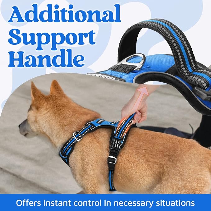 rabbitgoo Dog Harness for Large, No Pull 3 Buckles Easy On & Off | Soft Padded, Walking with Control Handle, Adjustable and Reflective, Blue, X-Large
