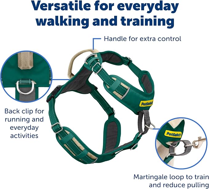 PetSafe Easy Walk Comfort No Pull Dog Harness, Green, Large | Stops Pulling on First Use with Front Martingale Loop, Full-Body Padding, 5-Point Adjustable Fit