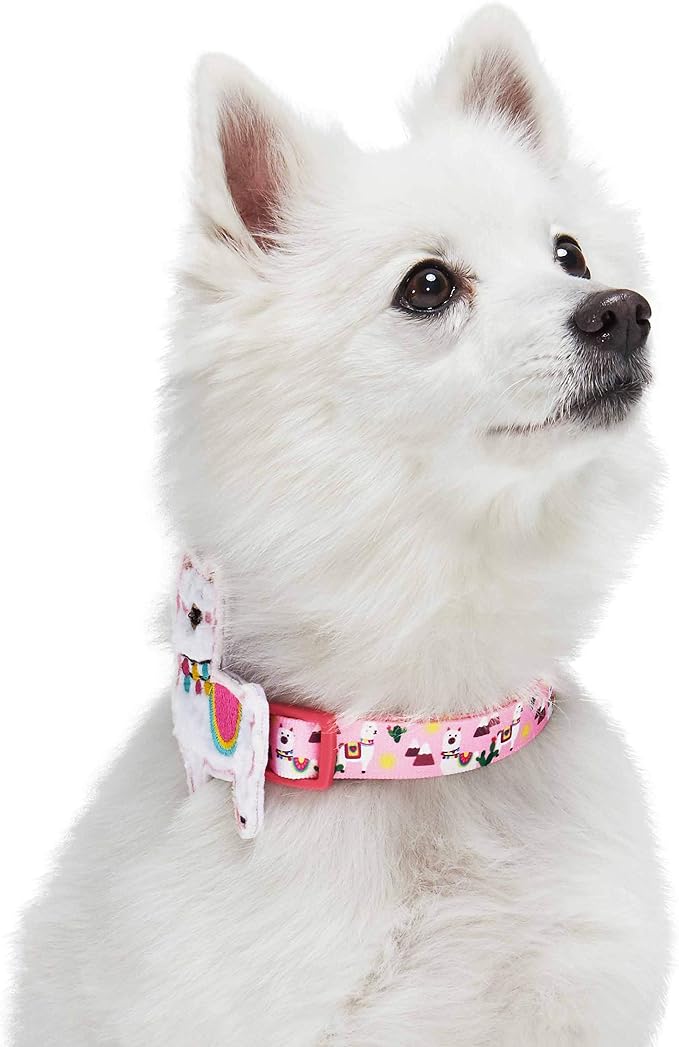 Blueberry Pet Happy Llamas Adjustable Dog Collar with Detachable Décor, Large, Neck 18"-26"