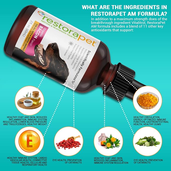 RestoraPet 2-Pack Dog & Cat Bacon Liquid Multivitamin | Dog Arthritis Pain Relief | Hip & Joint Vitamins for Dogs - Anti Inflammatory Supplement for Dogs & Cats | Plant-Based & Non-GMO, Vet Approved