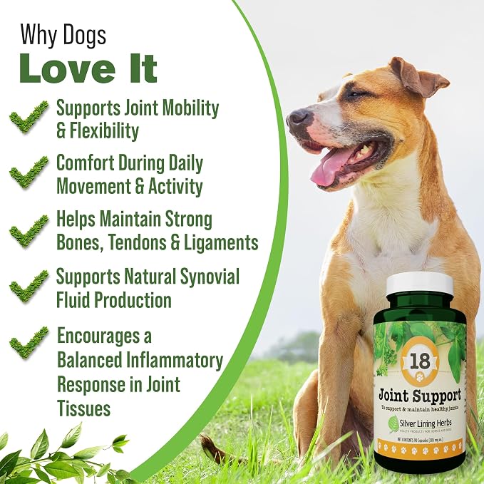 Silver Lining Herbs Dog Joint Supplement, Mobility & Comfort - 90 Ct