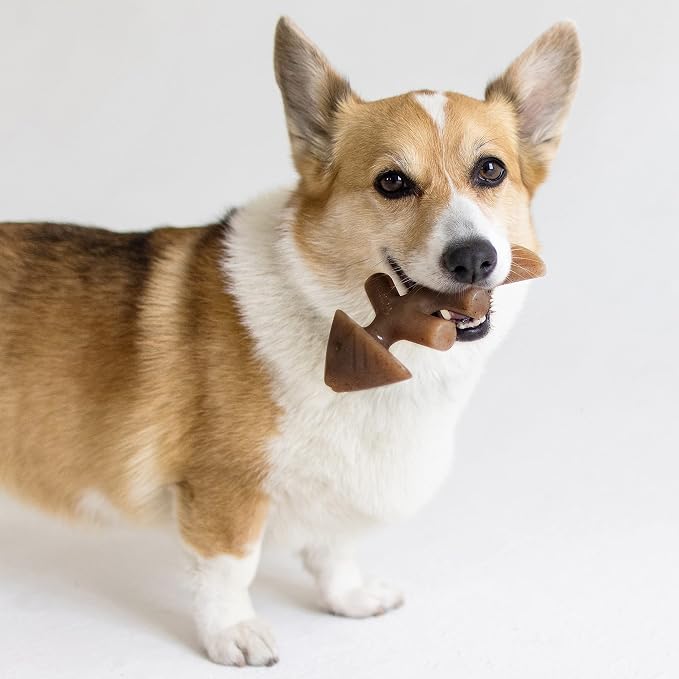 Benebone Fishbone and Wishbone Durable Dog Chews | Made in USA | Real Fish and Bacon Flavors