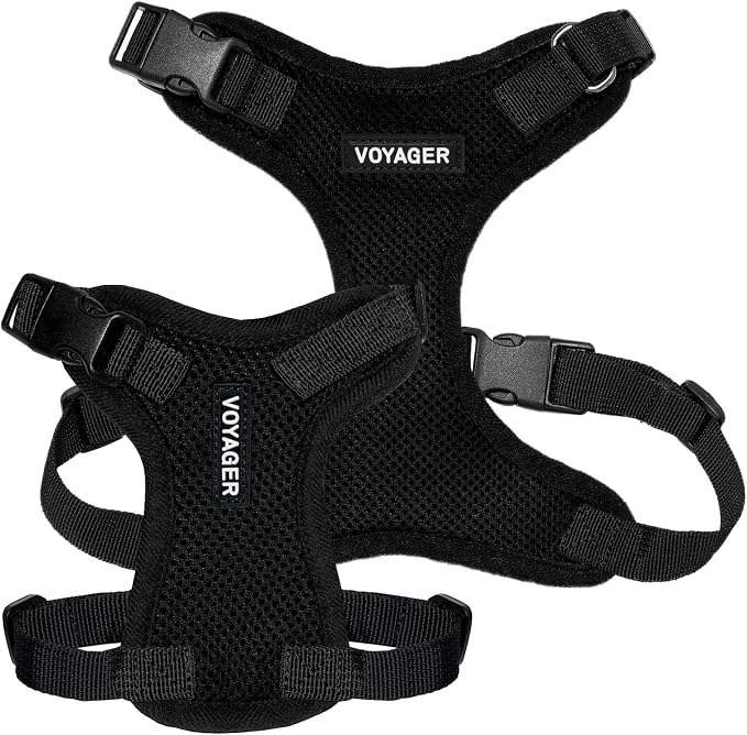Voyager Step-in Lock Dog Harness - Black, Large | 20 - 25" in Chest, Adjustable, Breathable Air Mesh, Lightweight for Daily Walks, Strong Clips, Heavy Duty D-Ring