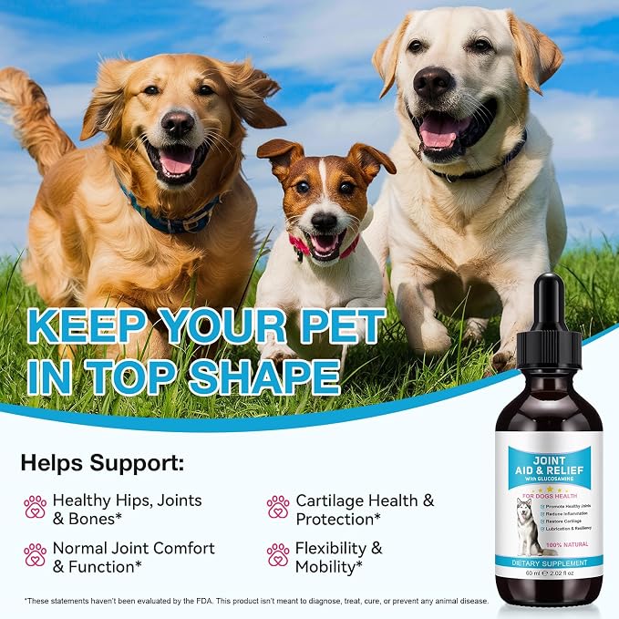 Pain Relief for Dogs, Hip & Joint Glucosamine Drops, Chondroitin Drops for Dogs, Natural Formula with Essential Nutrients for Active & Aging Dog, 60ml