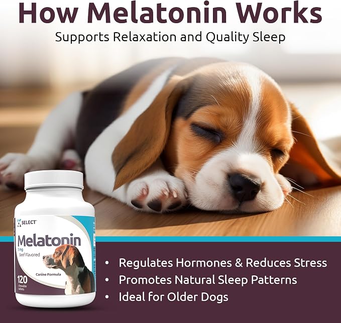 K9 Select Melatonin for Dogs, Beef, Small