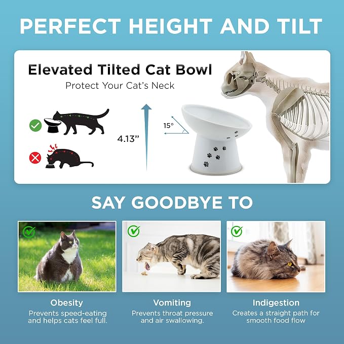 Necoichi Raised Cat Food Bowl – Ceramic Elevated 15° Tilted Cat Bowl for Whisker & Neck Fatigue, Dishwasher Microwave Safe – Non-Slip & Anti Vomiting Ergonomic Design (Cats, Regular Tilted)