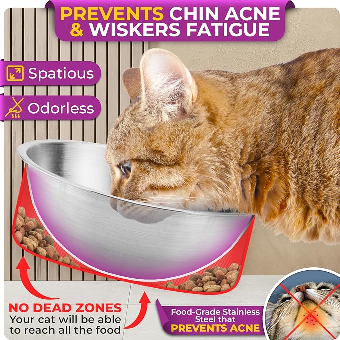 Raised cat Bowls for Indoor Cats by WinTruffles, Elevated cat Bowls, Tilted and Elevated Anti Vomiting Cat Dishes for Food and Water, Set of 2 Stainless Steel Bowl
