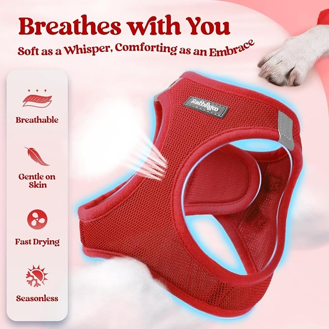 rabbitgoo Dog Harness Small Sized and Leash Set, Step-in Puppy Pet Vest | Light, Soft, Breathable Air Mesh, Easy on and Remove with Hook & Loop, Secure Reflective for Walking, Red M