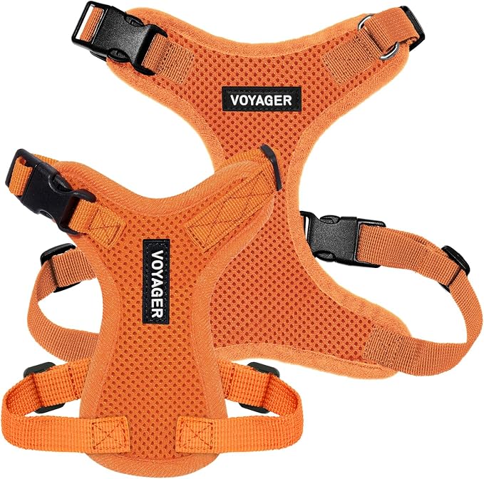 Voyager Step-in Lock Dog Harness - Orange, X-Small | 13 - 16" in Chest, Adjustable, Breathable Air Mesh, Lightweight for Daily Walks, Strong Clips, Heavy Duty D-Ring