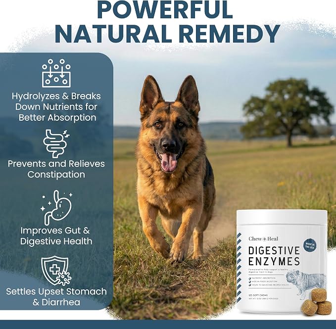 Pre and Probiotics for Dogs with Digestive Enzymes, 240 Soft Chews