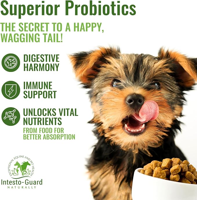 Powder Dog Probiotic, Prebiotic Puppies, No Animal By-Products, 2-Gram Scoop Contains 1.5 Billion, Digestive Health, Gut Support, Immune Boost – Vet-Formulated Powder for Maximum Potency – 180G Bottle