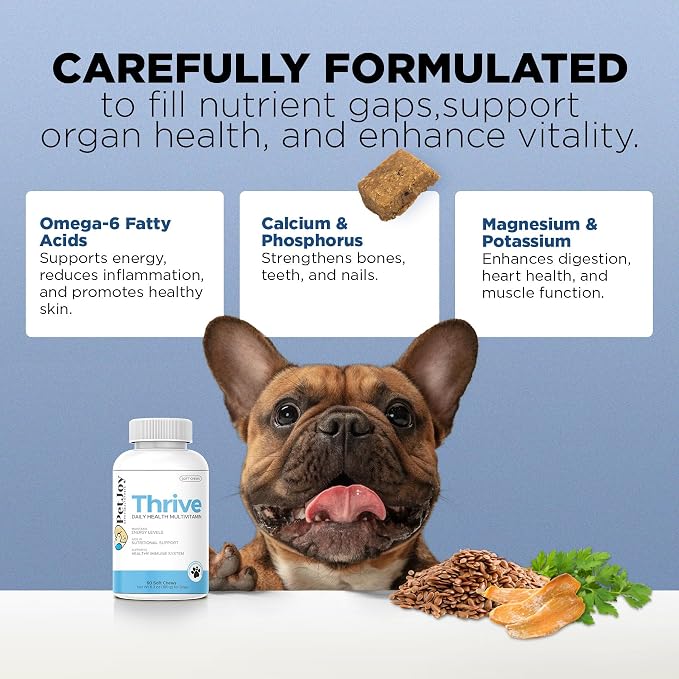 PetJoy Thrive Dog Multivitamin Soft Chew - Daily Dog Vitamins for Energy, Healthy Skin & Coat, and Stronger Bones & Teeth - Complete Support Supplement, Multivitamin for Dogs & Pets (60 Count)